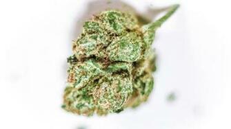 Herojuana Cannabis Nug Wallpaper Marijuana Pictures