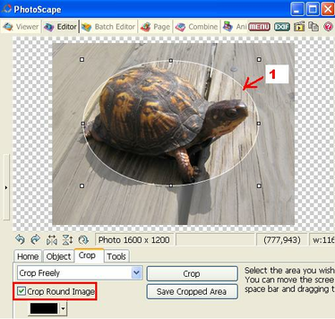 Change Photo Background In Photoscape