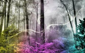 Best Enchantment Wallpaper