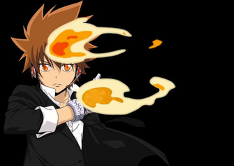 Tsuna8 Katekyo Hitman Reborn Tsuna HD Wallpaper