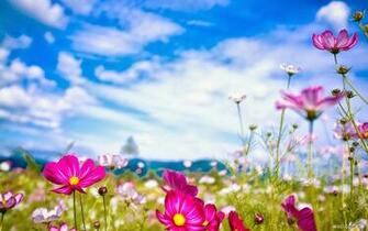 Desktop Wallpaper Spring Flowers