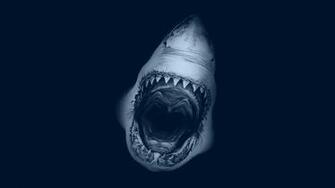 Jaws HD Desktop Wallpaper Widescreen High Definition Fullscreen
