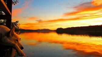 Waning Days Of Summer X