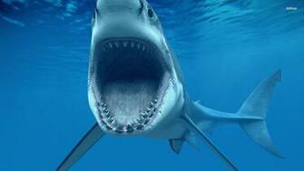 Great White Wallpaper Use This Widescreen And Pictures For
