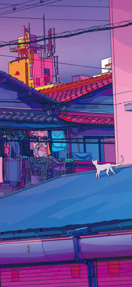Cat Asethetic Lofi 5k iPhone Xs Max HD 4k Wallpaper