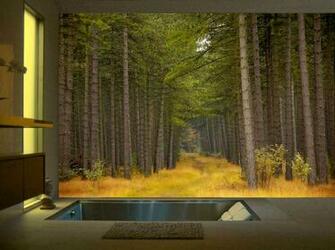 Dry Strippable And Reusable Wallpaper Mural Hangs Like