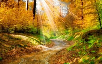 Sunlight Picture Wallpaper High Definition Quality