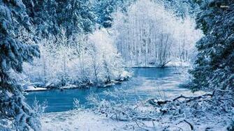 Winter Forest Wallpaper Card From User Sereogapetrow2020 In