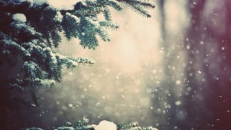 HD Winter Desktop Wallpaper