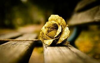 Wonderful Gold Rose Wallpaper Px