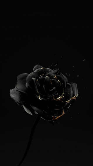 Black Rose iPhone Wallpaper