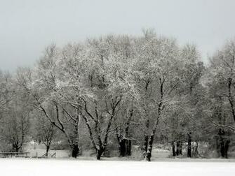 Winter Wallpaper