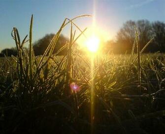 Winter Solstice Grass Dew Ground