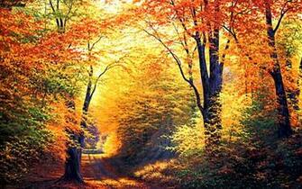 Fall Wallpaper And Screensavers
