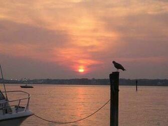 Ocean City Photos Featured Image Of Md TriPadvisor