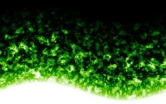 Green Flame Wallpaper Image Pictures Becuo