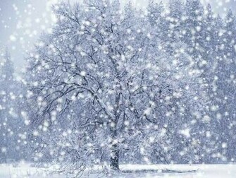 Snowfall In Islamabad
