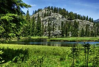 Wallpaper Yellowstone National Park Usa Mountain River Spruce