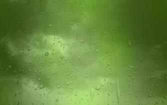 Rainy Window Wallpaper