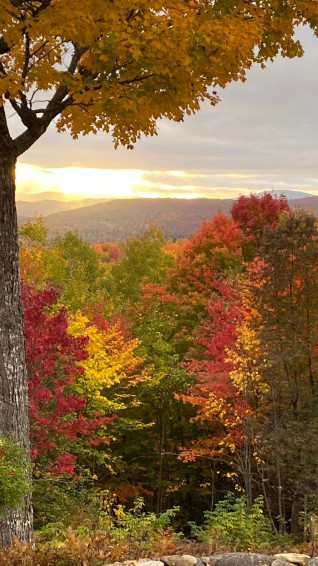 Early Fall Wallpaper