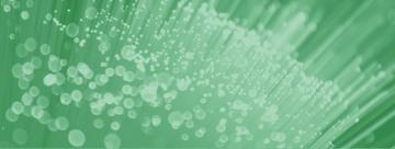Header Background Green Spangle Biostrata