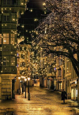 Christmas Schweiz Schaffhausen Night In Street Winter