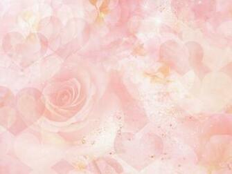 Pink Rose Background