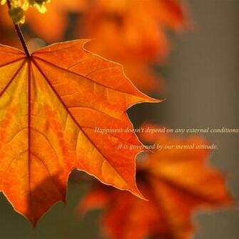 If You Are Ing Wallpaper On Computer Can Easily
