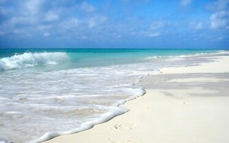 Foamy Waves On White Sandy Beach Wallpaper