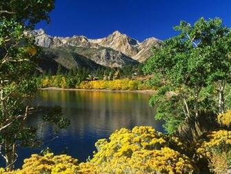 Nature S Beauty California Mountains