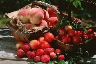 Peaches Nectarines Basket Stock Photos Image HD