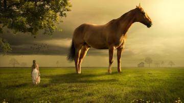 Girl Horse Landscape 4k Cheval R Ver Reve