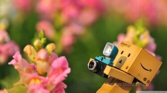 Danbo Falling Down Wallpaper