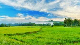 Kerala Wallpaper