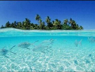 Best Image About Tropical Island Get Aways On