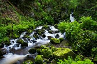 Black Forest Germany The Wallpaper Landscapes