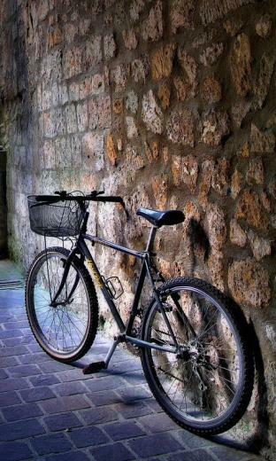 Windows Phone Wallpaper Daily Mobile