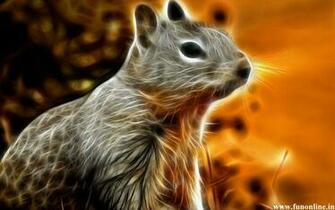 Squirrel Wallpaper Charming Squirrels HD