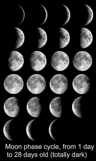 Montage Of Photos Moon Each Night For One Day Cycle