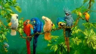 Parrot Wallpaper