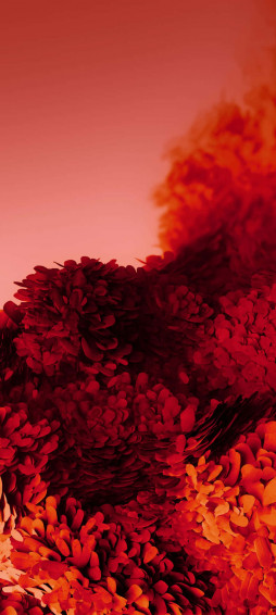 Introducing The Samsung S20 Wallpaper