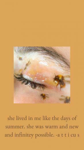 Yellow Honey Bumblebee Makeup Beautiful Her Summer Love