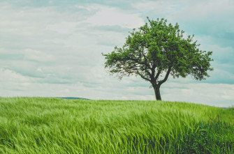 Scenery Wallpaper HD Hq