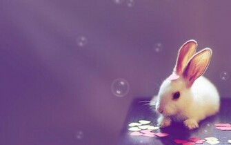 Cute Desktop Background With Quotes Image