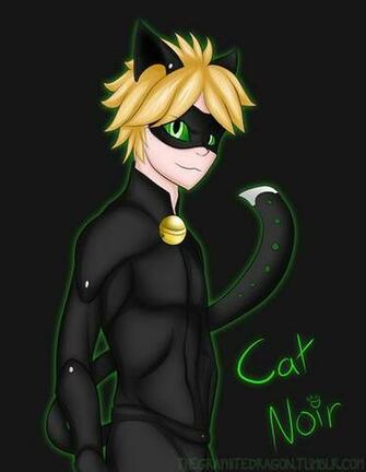 Free Download Miraculous Ladybug Images Ladybug And Chat Noir Wallpaper Photos 313x500 For Your Desktop Mobile Tablet Explore 50 Ladybug And Chat Noir Wallpaper Ladybug And Chat Noir Wallpaper