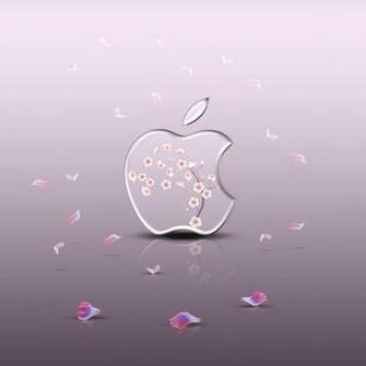 Apple Blossom Screensavers Wallpaper