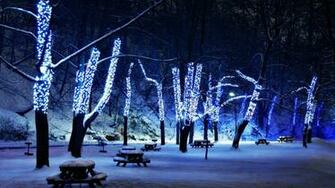 Beautiful Christmas Lights Wallpaper HD Wallpaper55
