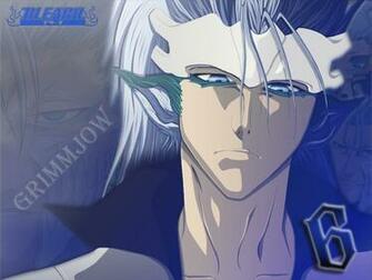 Grimmjow Jeagerjaques Wallpaper