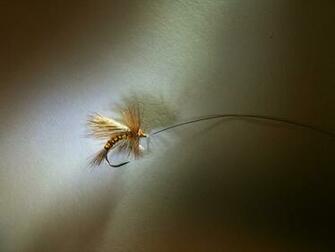 Fly Fishing Wallpaper
