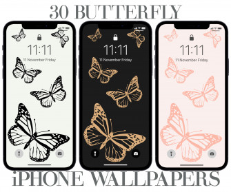 Butterfly iPhone Background Wallpaper